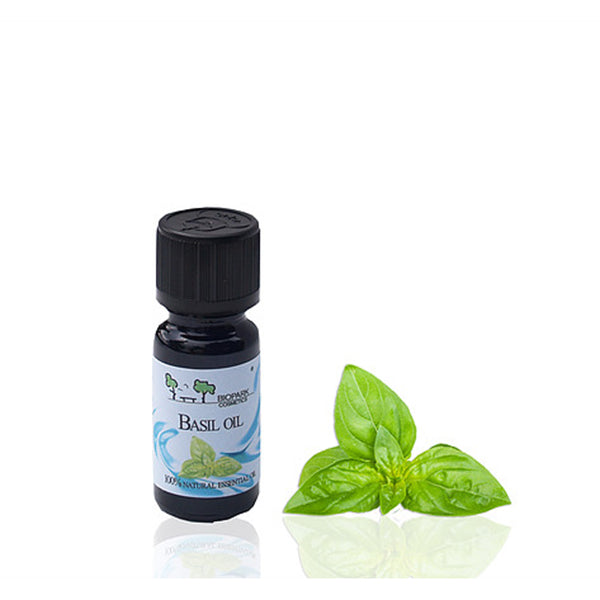 Basil essential oil