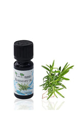 Rosemary essential oil