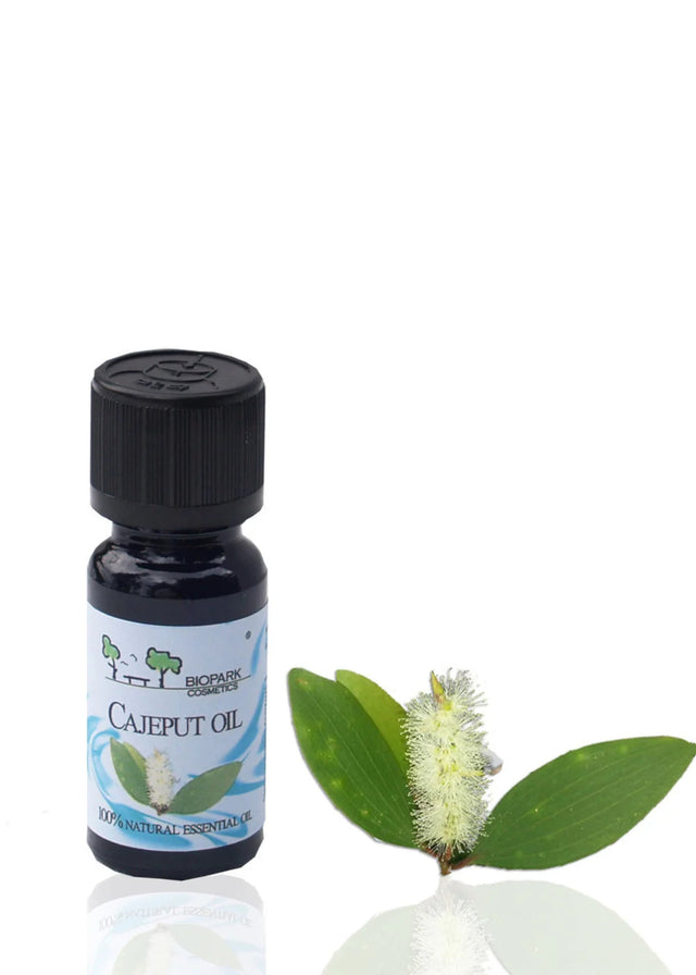 Cajeput essential oil