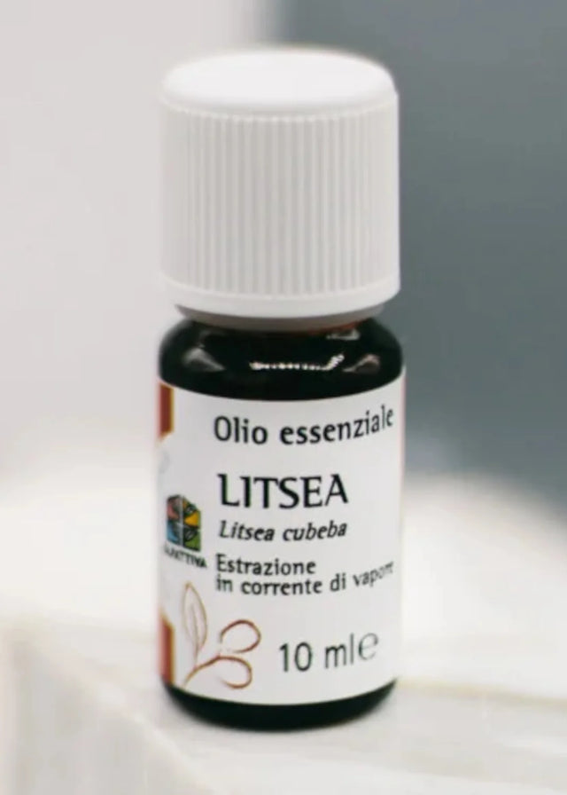 Olio Essenziale di Litsea - Olfattiva