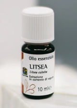 Litsea Essential Oil - Olfactory