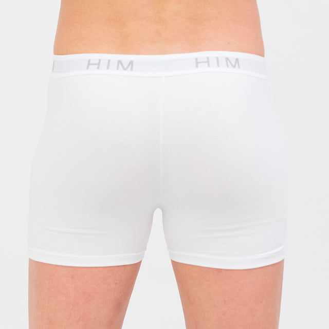 Men's Boxers in Modal and Cotton