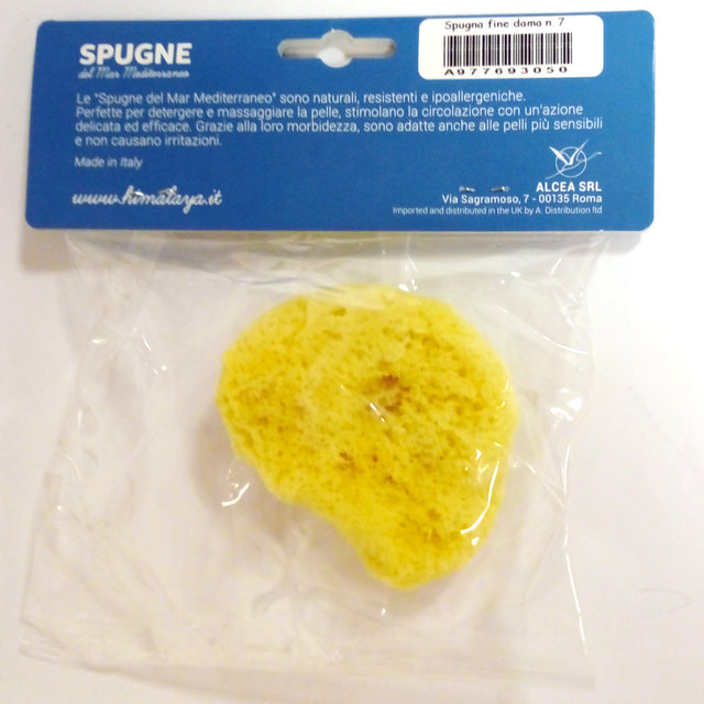 Fine checkers sponge n°7