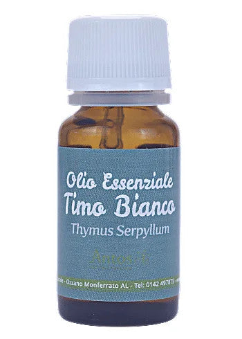 Pure wild thyme essential oil