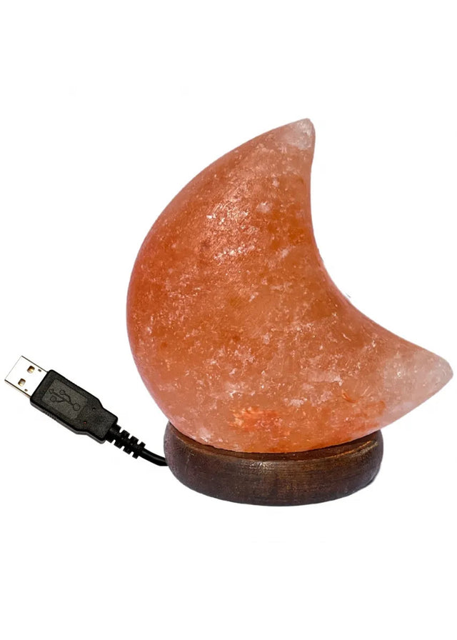 Himalayan Pink Salt Moon Lamp with USB