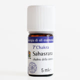 7th CHAKRA Essential Oil – Sahasrara