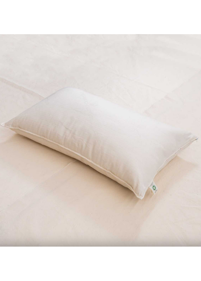 Bio cushion pillow in organic cotton 45x75x10-12cm