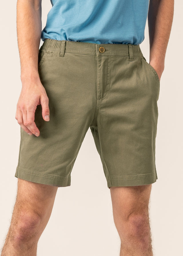 Mika Bermuda shorts for men in organic cotton - Ivy green