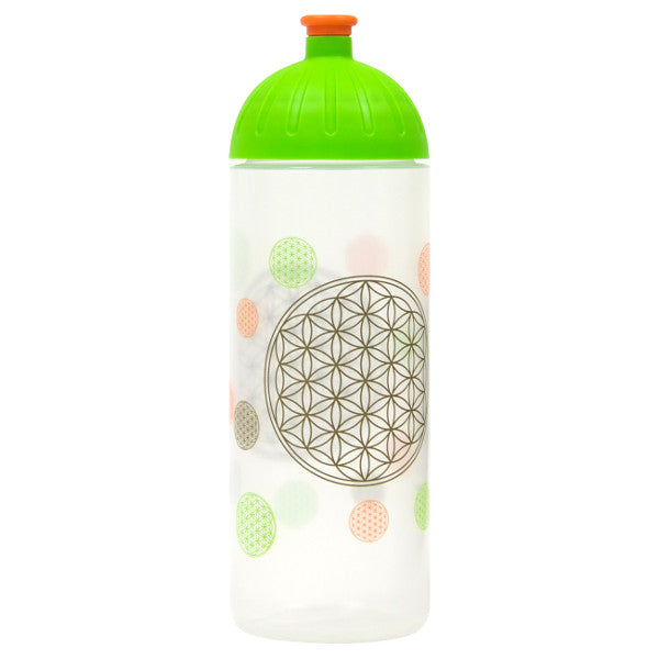 ISYbe 0.7 l water bottle