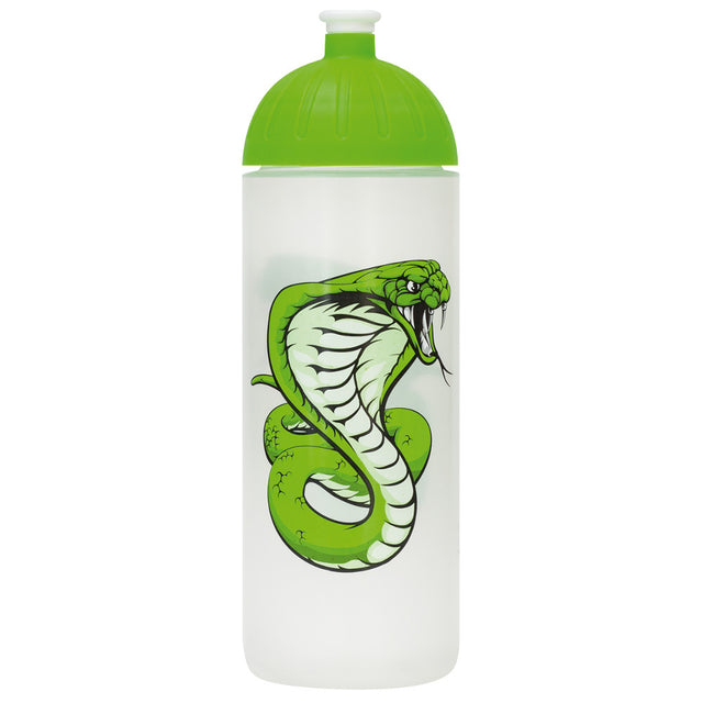 ISYbe 0.7 l water bottle