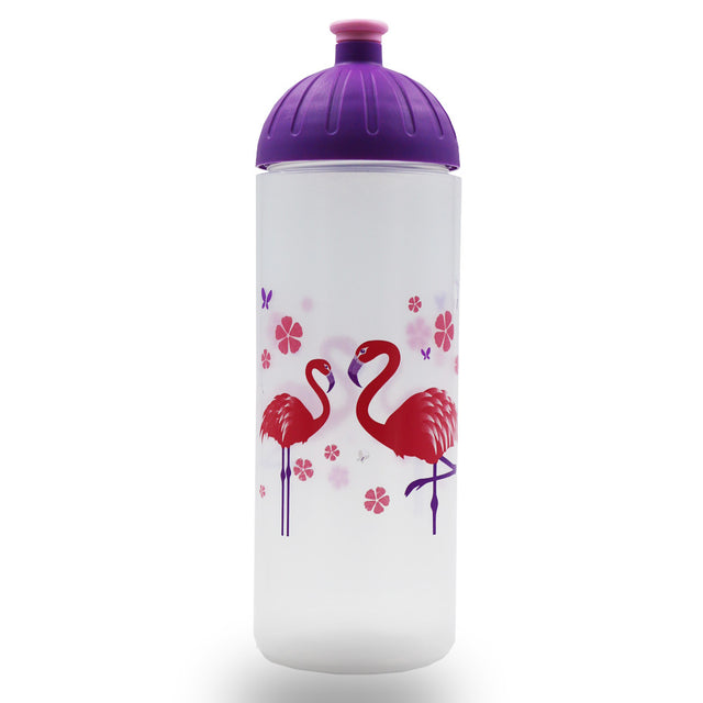 ISYbe 0.7 l water bottle