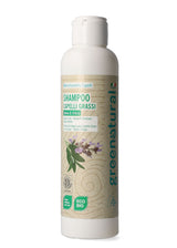 Eco-organic shampoo for greasy hair and dandruff Sage and Nettle - 250ml