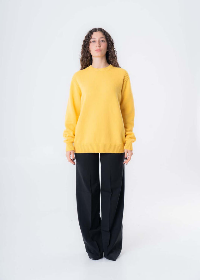 Women's Crewneck Sweater in Responsible Wool and Cashmere