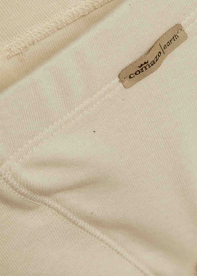 100% organic cotton men's briefs