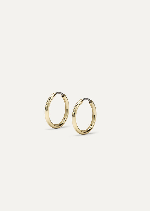 Anna Gold Hoop Earrings