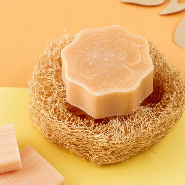 Luffa porta Cosmetici Solidi