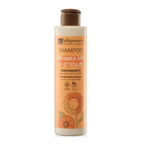 Sunflower and sweet orange shampoo - Dry and treated hair