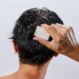 Purifying and anti-dandruff solid shampoo with prebiotic